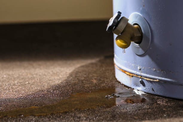 Best Local water damage restoration  in Moulton, AL