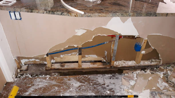 Best Water damage contractors near me  in Moulton, AL