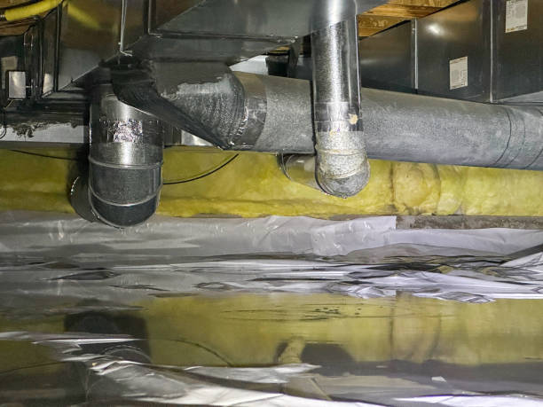 Best Emergency water extraction  in Moulton, AL