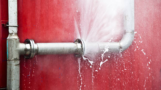 Best Water damage restoration near me  in Moulton, AL